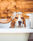 EKO Aroma Smart Liquid Soap Dispenser - White – Safe for Kids and Pets
