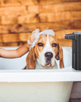 EKO Aroma Smart Liquid Soap Dispenser - Dark Gray – Safe for Kids & Pets