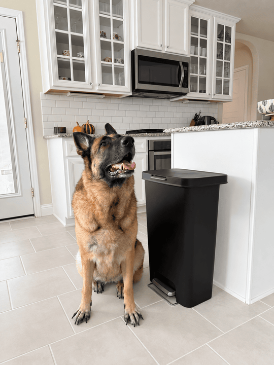 Keeping my dog safe is always a priority, and the EKO Pet-Lock Trash Can helps keep curious paws out of the trash! πΆ
A cleaner kitchen, fewer messes, and more peace of mind. π€