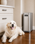 EKO 45 lb Stainless Steel Pet Food Storage Container with Lockable Airtight Lid