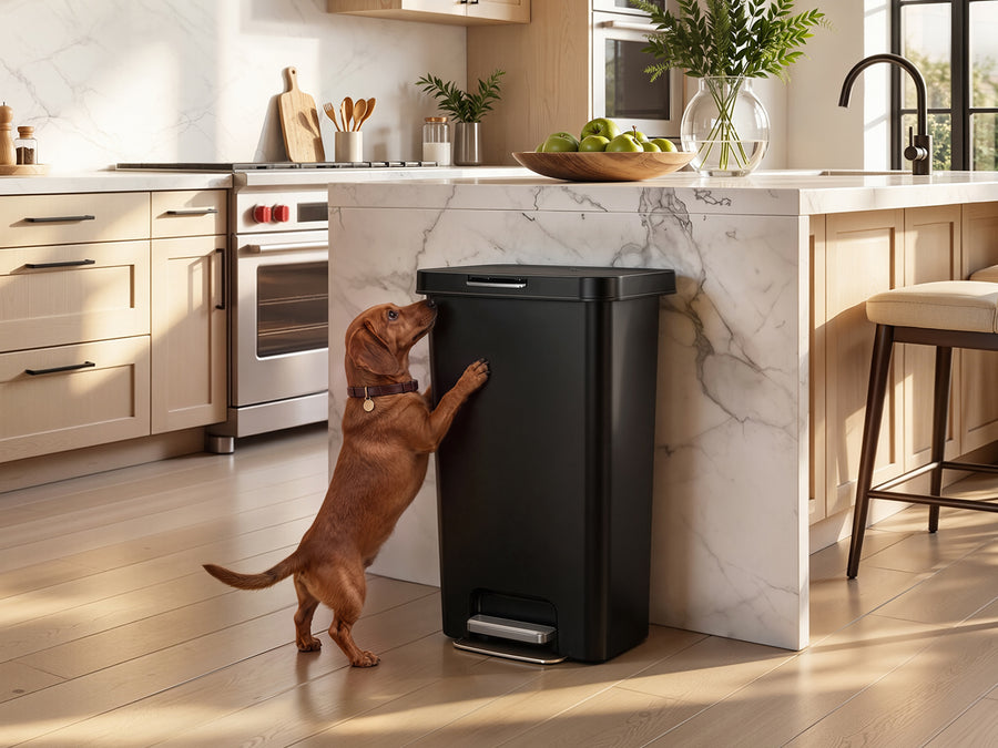 Why EKO Pet-Lock Step Can