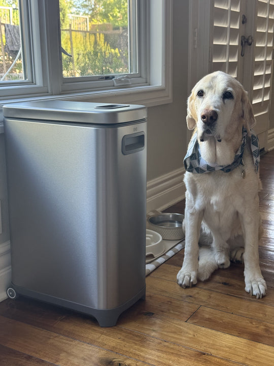 Pet food storage, but make it part of the home. 🐾🤎
A practical little upgrade that makes everyday pet life feel a whole lot more organized. ✨