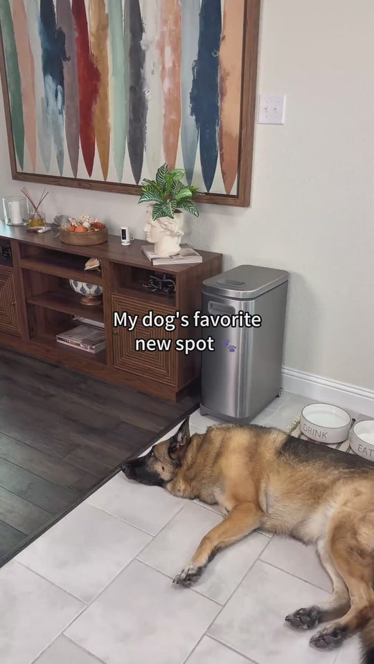 Keeping Chivas’ food fresh and organized has never been easier! 🐶🤍
The EKO 45 lb Pet Food Storage Container features an airtight lockable lid, a magnetic scoop, and smooth-rolling wheels that make feeding time so much more convenient.
💫Such a simple upgrade that makes a big difference every day!