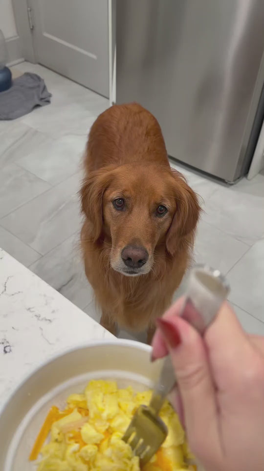 The 11.9-gallon EKO pet-lock trash can features a secure locking lid that helps keep dogs, cats, and curious hands out of kitchen trash. 🗑️